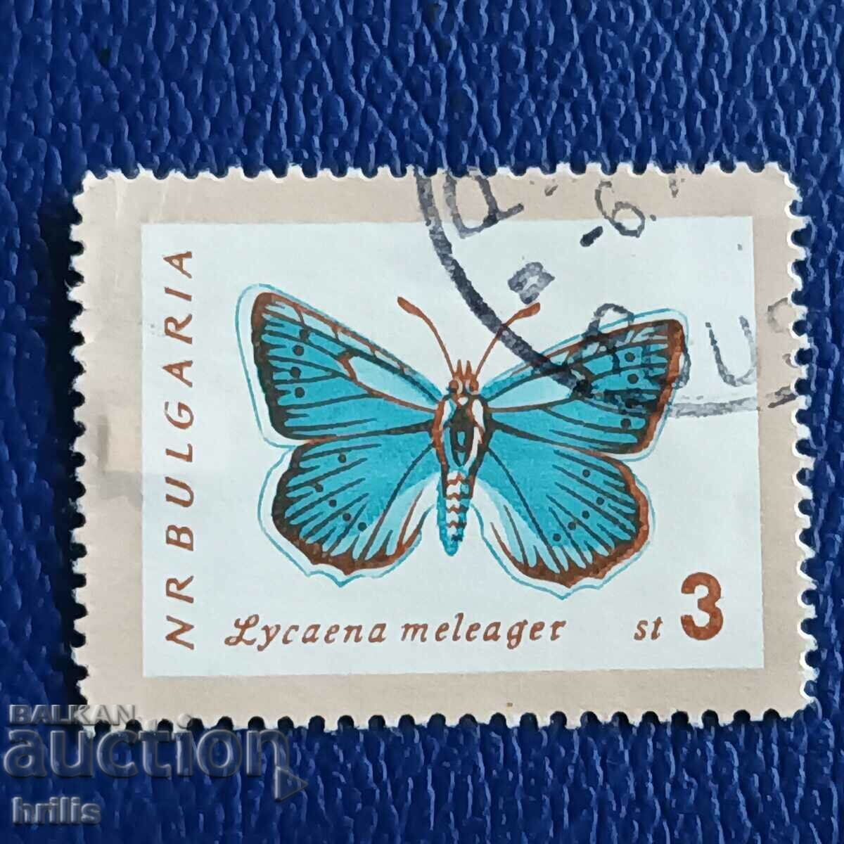 BULGARIA 1962 - FAUNA, FLUTURI
