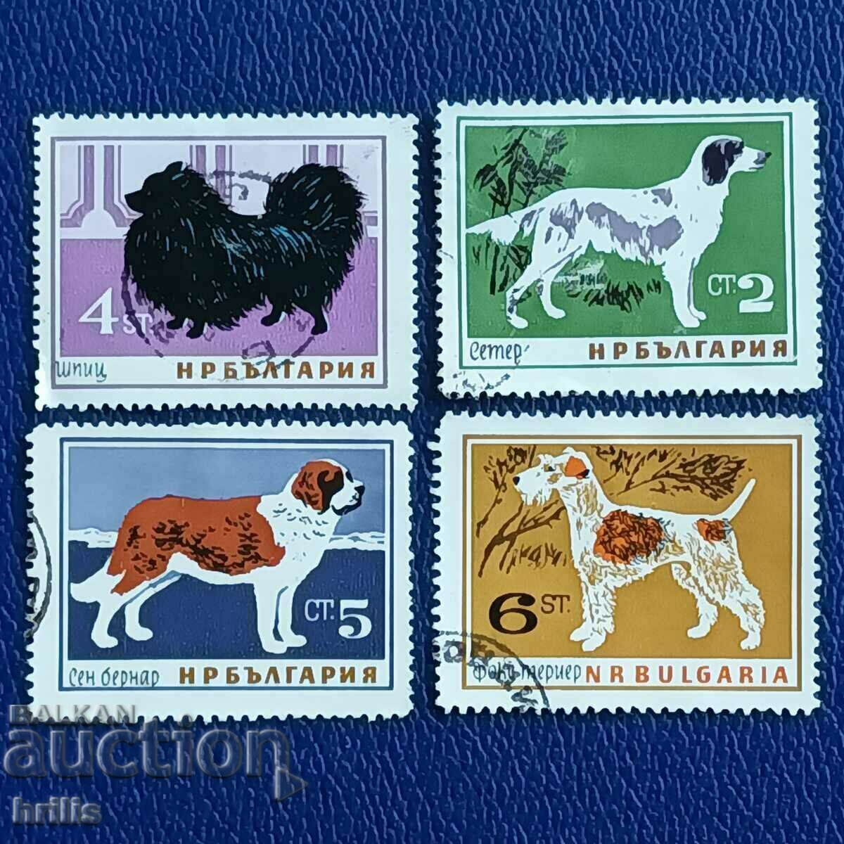 BULGARIA 1964 - FAUNA, BREEDS OF DOGS