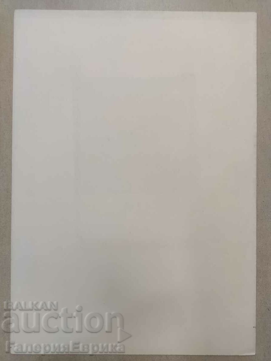 Desen principal nesemnat - 5 Desen principal nesemnat - 5