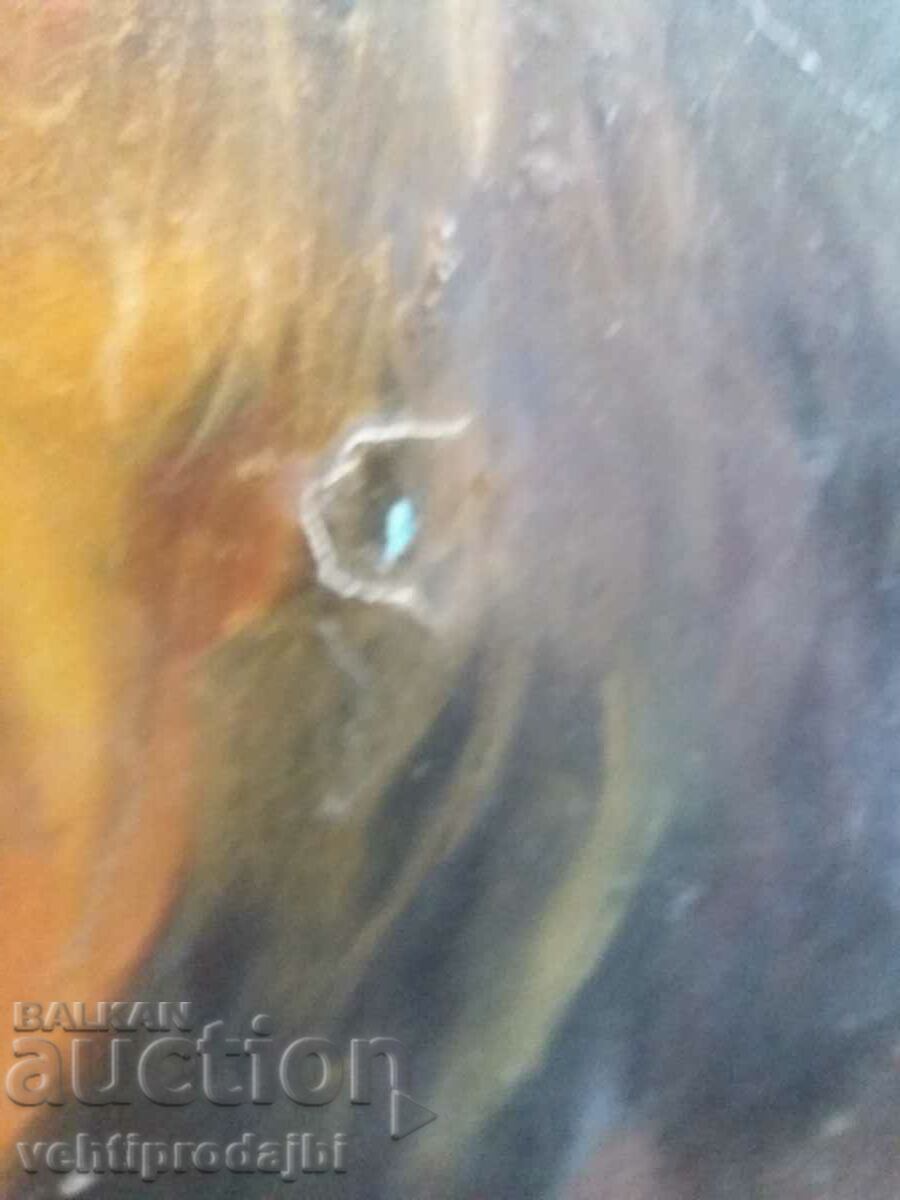 Poza m/n semnată - 5