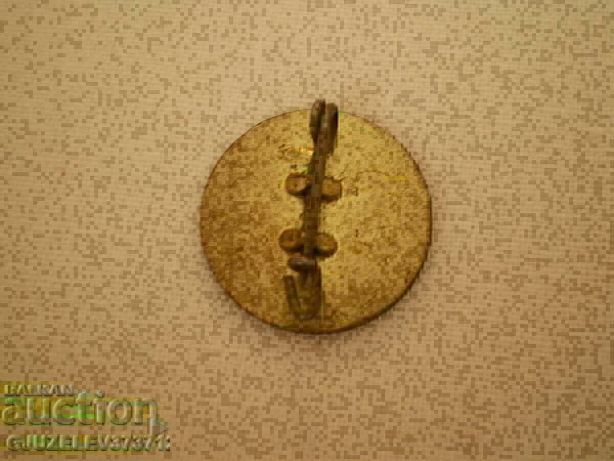 collector's badge "FDJ - Heimatforschung" with price 30.00 BGN | € 15.34