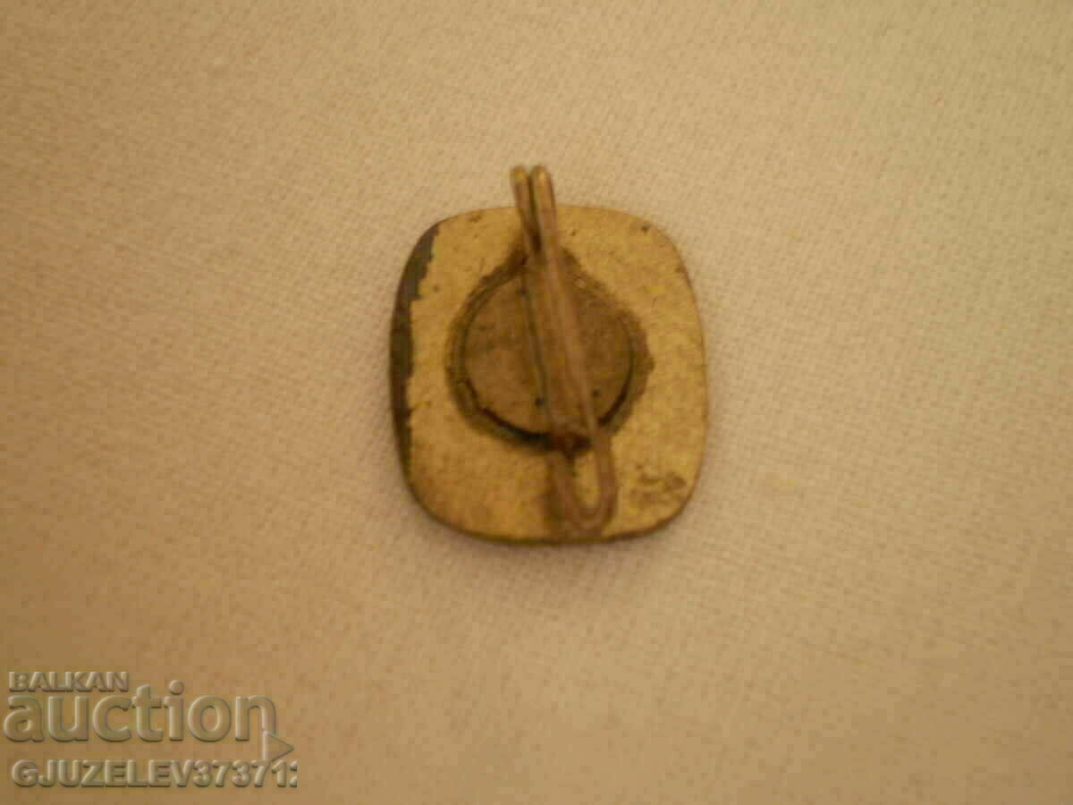 Delivery of ENAMELED FDGB MEMBER BADGE