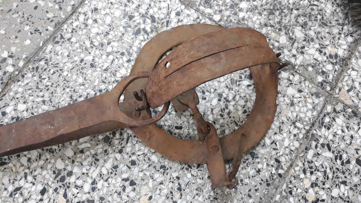 Delivery of old forged trap for beaded golden ferrets WORKING Delivery of old forged trap for beaded golden ferrets WORKING