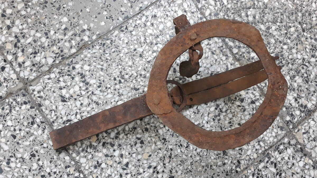old forged trap for beaded golden ferrets WORKING - 5 old forged trap for beaded golden ferrets WORKING - 5