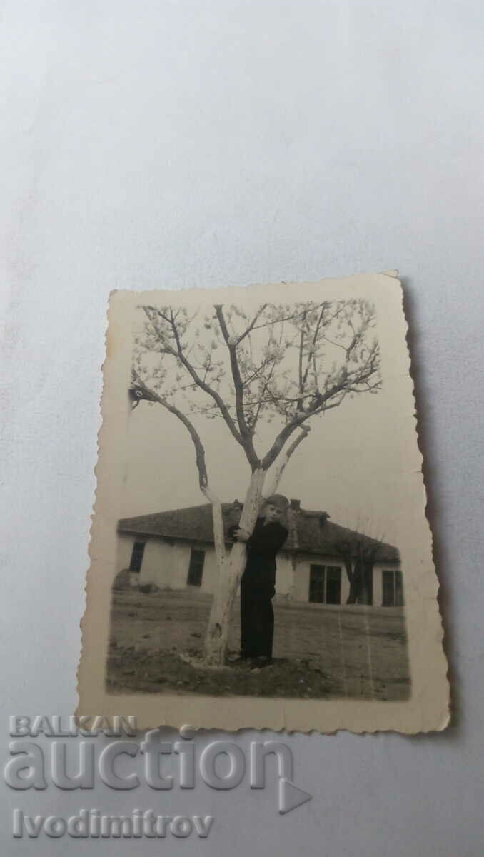 Снимка Момче прегърнало орехово дърво 1941