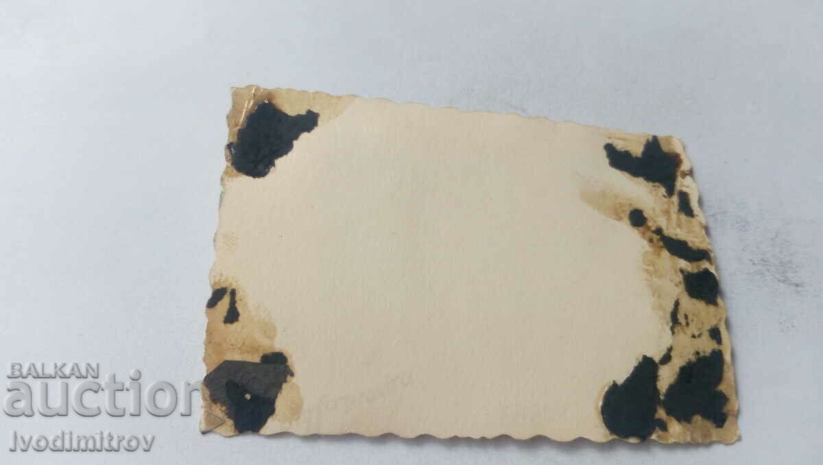 Photo Schoolgirls in the school yard with price 1.35 BGN | € 0.69 Photo Schoolgirls in the school yard with price 1.35 BGN | € 0.69