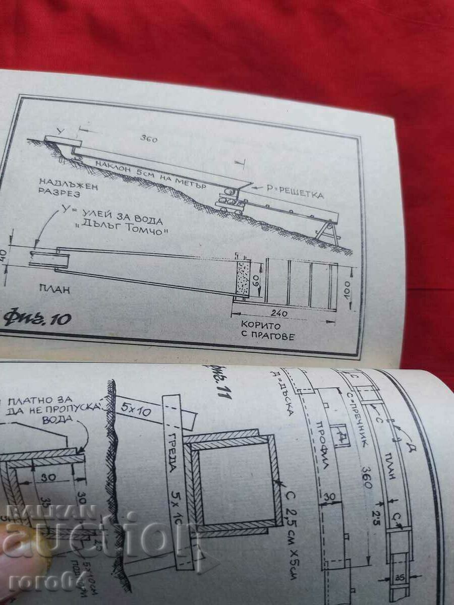 GHID pentru aur - 6 GHID pentru aur - 6