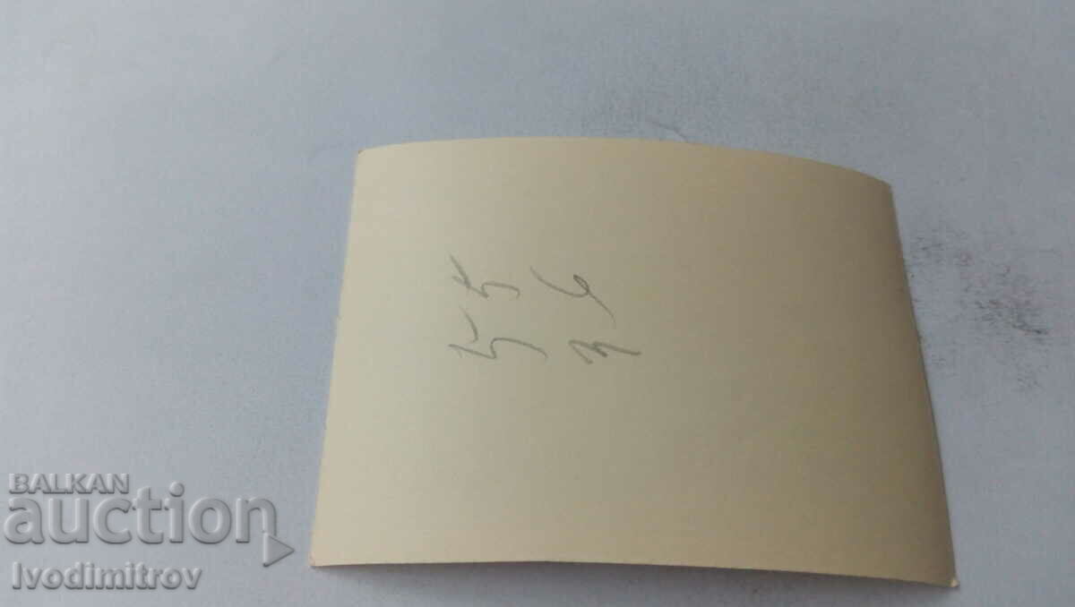 Φωτογραφία Άνδρες και γυναίκες με δύο καροτσάκια στα επίπεδα με τιμή 1.35 BGN | € 0.69 Φωτογραφία Άνδρες και γυναίκες με δύο καροτσάκια στα επίπεδα με τιμή 1.35 BGN | € 0.69