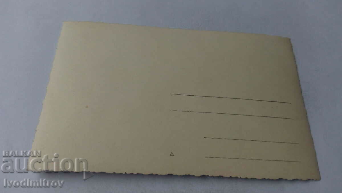 Fotografie Bărbați, femei și copii la un picnic în pădure cu preț 1.45 BGN | € 0.74 Fotografie Bărbați, femei și copii la un picnic în pădure cu preț 1.45 BGN | € 0.74