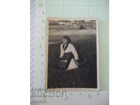 Снимка стара на жена в носия седнала на поляната