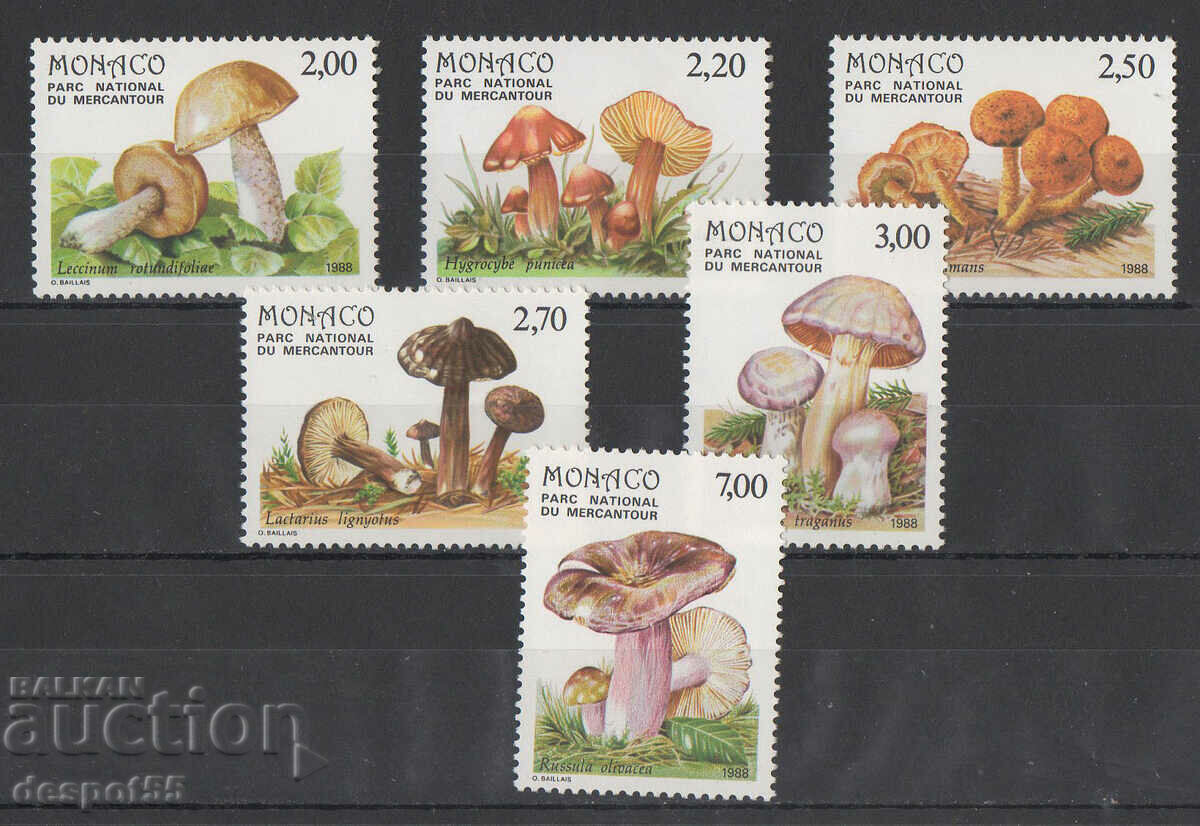 1988. Monaco. Mushrooms in Mercantour National Park.