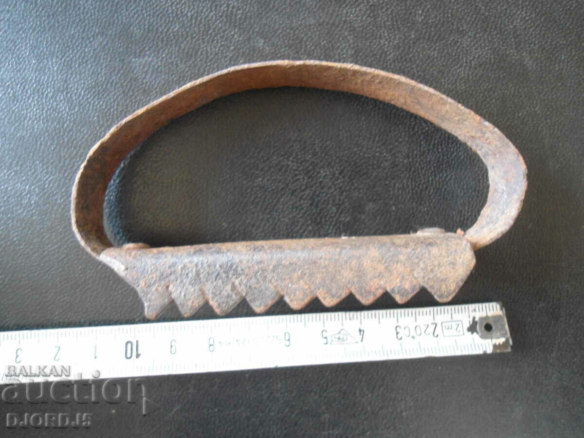 An old grain nurse - 5 An old grain nurse - 5