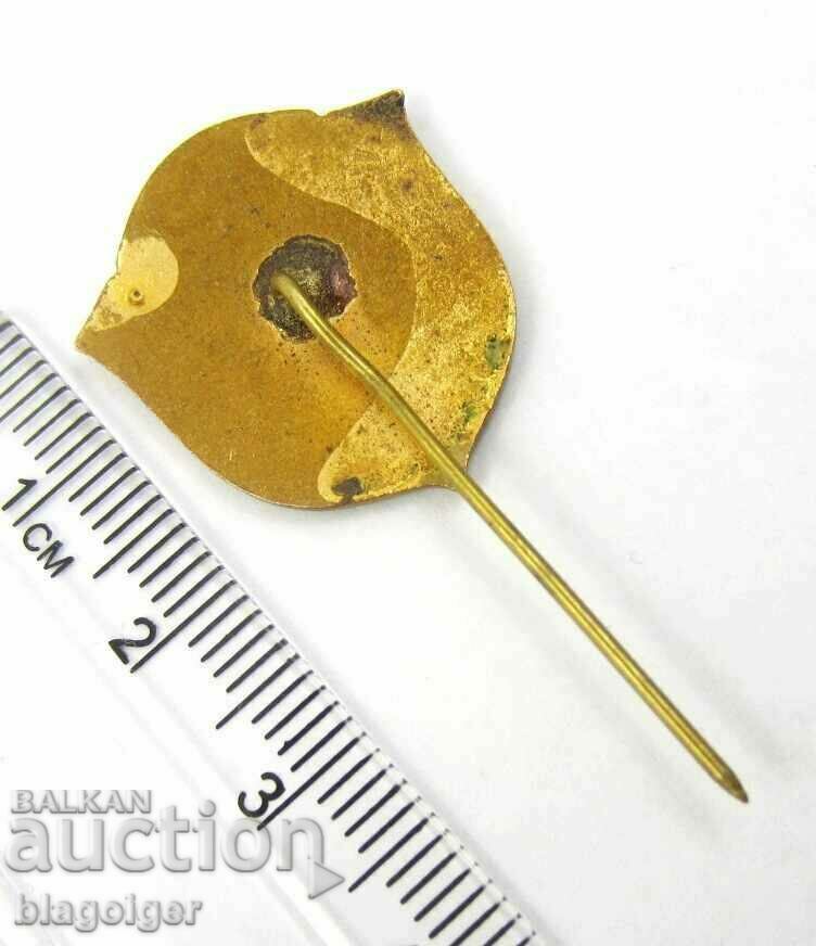 Auction Excellent-Social Competition-CSC-Bulgaria-Email-Award Auction Excellent-Social Competition-CSC-Bulgaria-Email-Award