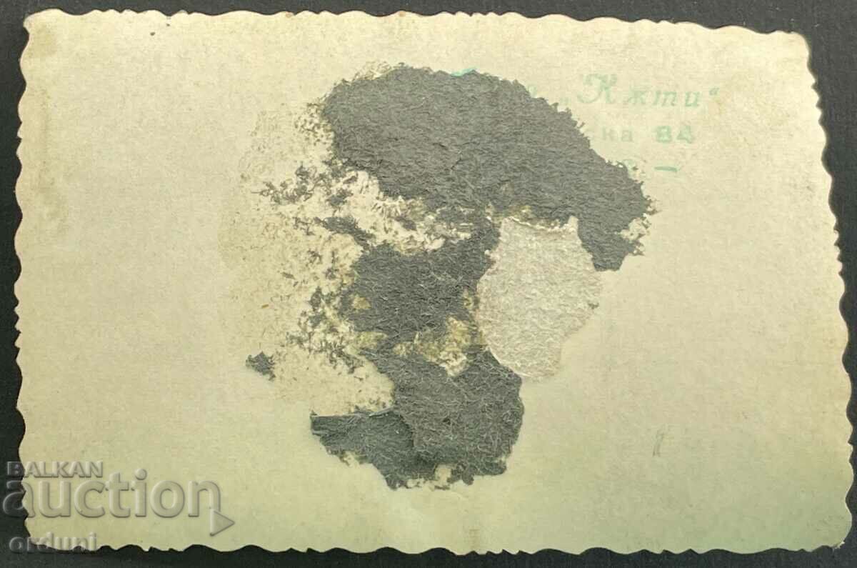 2505 Kingdom of Bulgaria plays the WWII accordion with price 7.00 BGN | € 3.58 2505 Kingdom of Bulgaria plays the WWII accordion with price 7.00 BGN | € 3.58