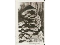 Κάρτα Βουλγαρίας Ledenika Cave The Giant *