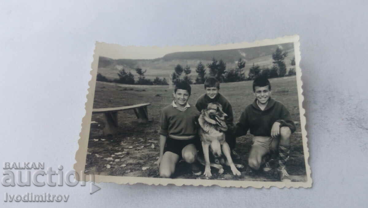 Fotografie Madjare Trei băieți și un câine lup 1963
