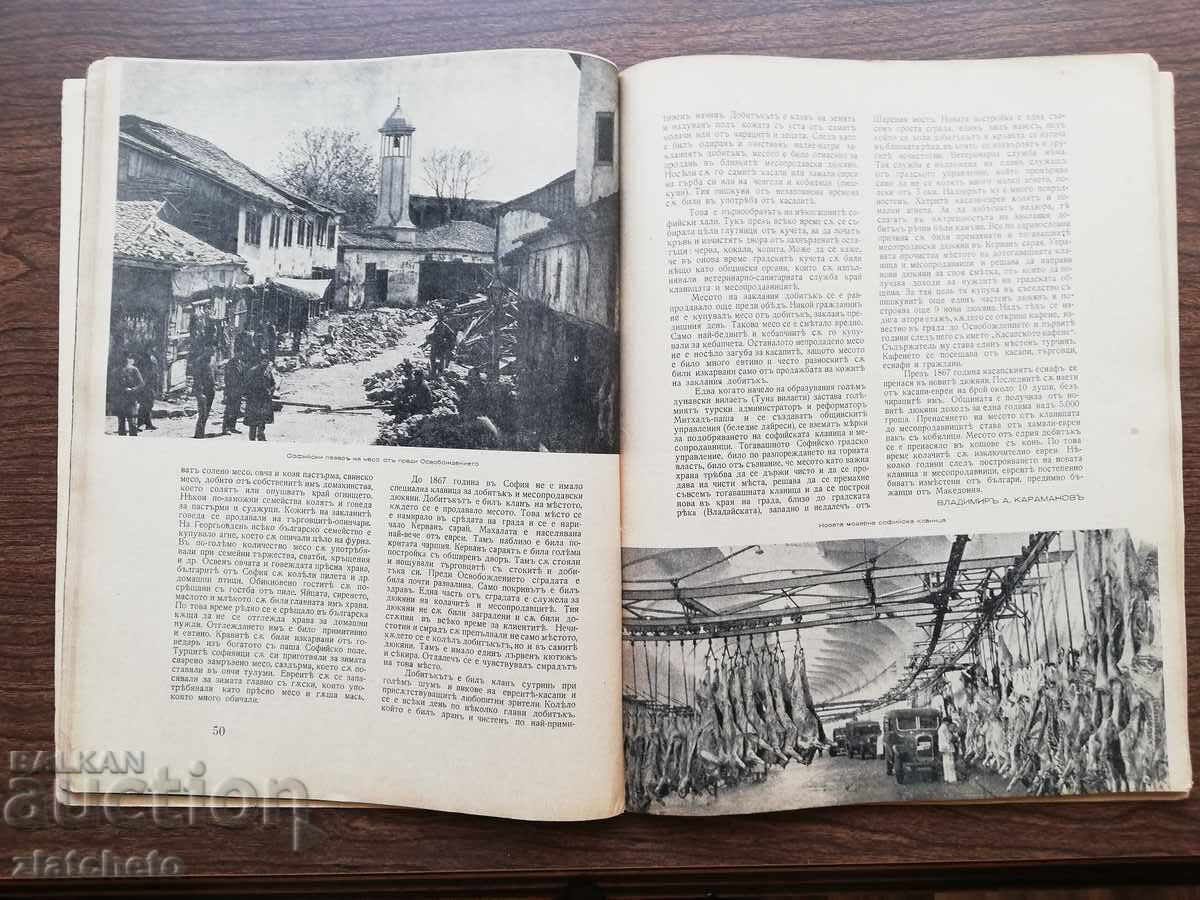 Auction  Serdika magazine