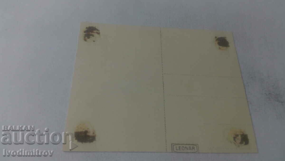 Photo Three young people on two boats in the Danube river with price 2.35 BGN | € 1.20