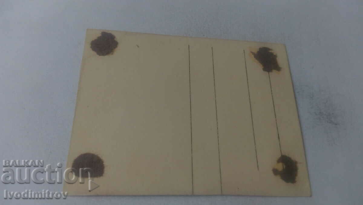 Photo of a man and two women at a port on the Danube with price 1.65 BGN | € 0.84 Photo of a man and two women at a port on the Danube with price 1.65 BGN | € 0.84