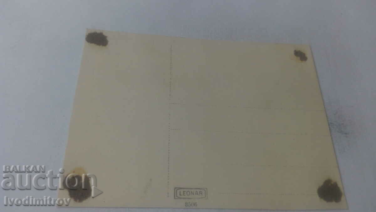 Photo Three young people on the road along the Danube with price 1.45 BGN | € 0.74 Photo Three young people on the road along the Danube with price 1.45 BGN | € 0.74