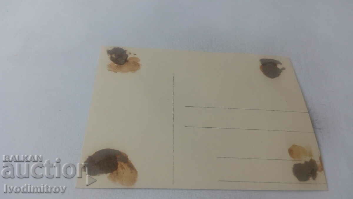 Photo of a young man and a girl at a lighthouse with price 2.35 BGN | € 1.20 Photo of a young man and a girl at a lighthouse with price 2.35 BGN | € 1.20