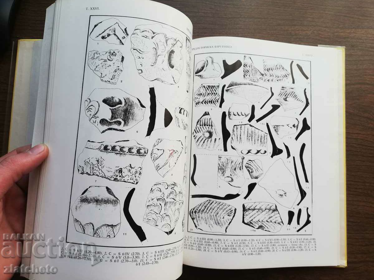 Auction Macedonian archeology - Prehistoric settlement Barutnitsa Auction Macedonian archeology - Prehistoric settlement Barutnitsa