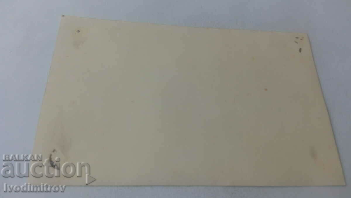 Photo Three young men on the lawn with price 2.45 BGN | € 1.25 Photo Three young men on the lawn with price 2.45 BGN | € 1.25