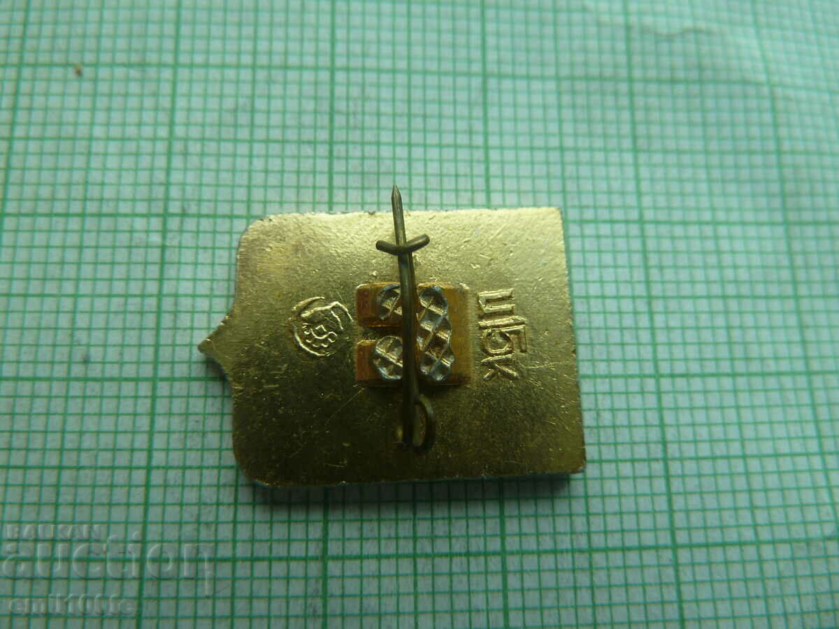 Livrarea Insigna - stema Vinnytsia Ucraina URSS Livrarea Insigna - stema Vinnytsia Ucraina URSS