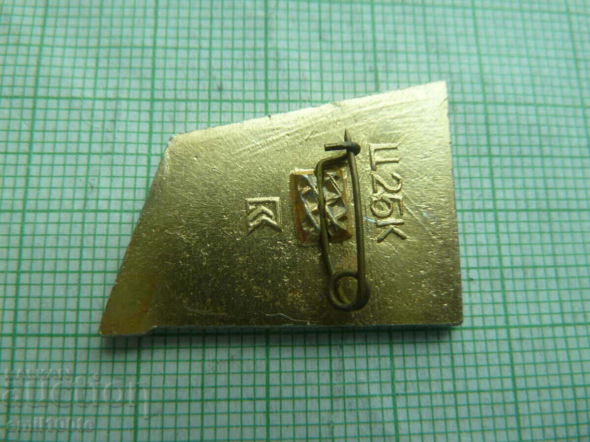 Delivery of Badge - Hockey Team Chemist of the USSR Delivery of Badge - Hockey Team Chemist of the USSR