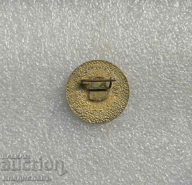 for services to BNA - email with price 25.00 BGN | € 12.78