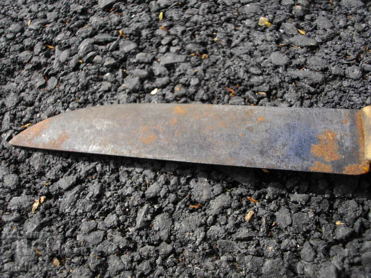 Auction STAR BUCK Auction STAR BUCK