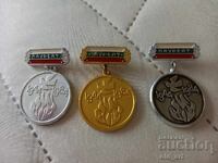 Insigna - Laureat al unui festival de muzică. auto-activitate