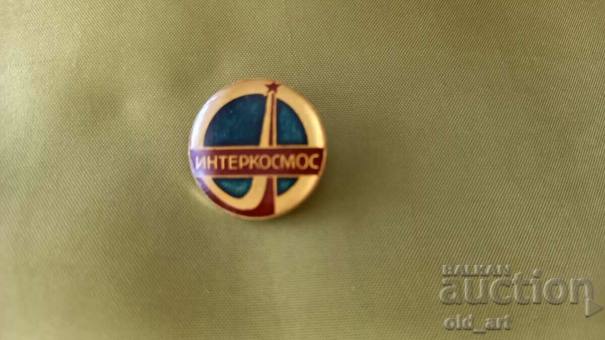 Badge - Intercosmos