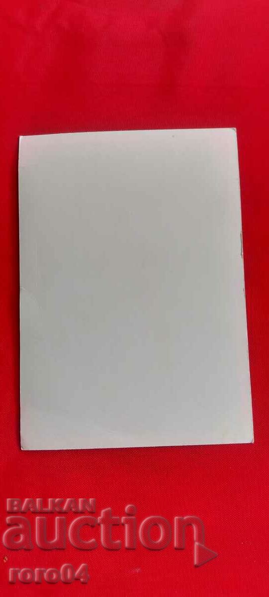 PANEURHYTHMIA - DANOV - 1941 - RRR - 6 PANEURHYTHMIA - DANOV - 1941 - RRR - 6