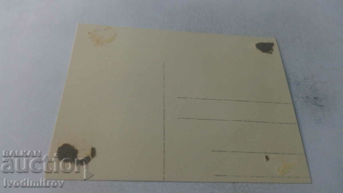 Photo Youth on a frozen river in front of a railway bridge with price 2.65 BGN | € 1.35 Photo Youth on a frozen river in front of a railway bridge with price 2.65 BGN | € 1.35