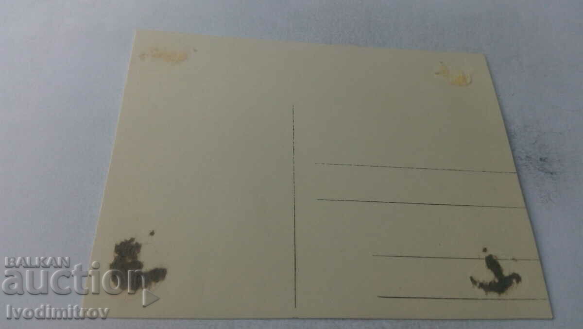 Φωτογραφία Νεολαία σε ένα παγωμένο ποτάμι μπροστά από μια σιδηροδρομική γέφυρα με τιμή 2.35 BGN | € 1.20 Φωτογραφία Νεολαία σε ένα παγωμένο ποτάμι μπροστά από μια σιδηροδρομική γέφυρα με τιμή 2.35 BGN | € 1.20