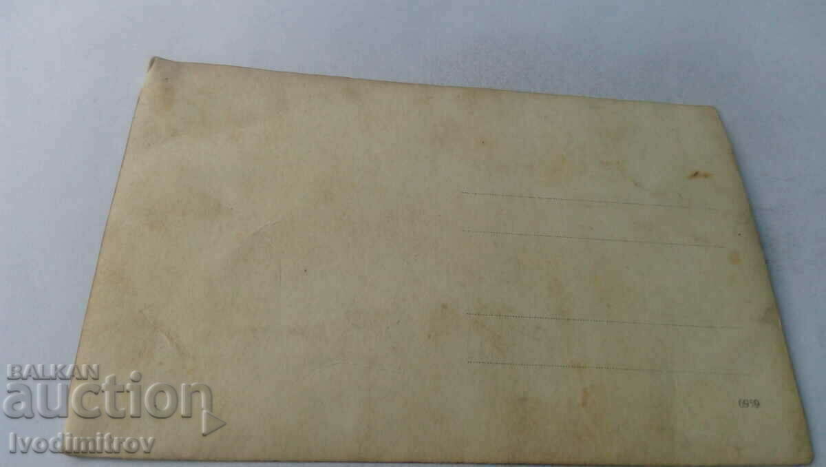 Picture Men and women in front of a wall overgrown with boxwood with price 1.65 BGN | € 0.84 Picture Men and women in front of a wall overgrown with boxwood with price 1.65 BGN | € 0.84