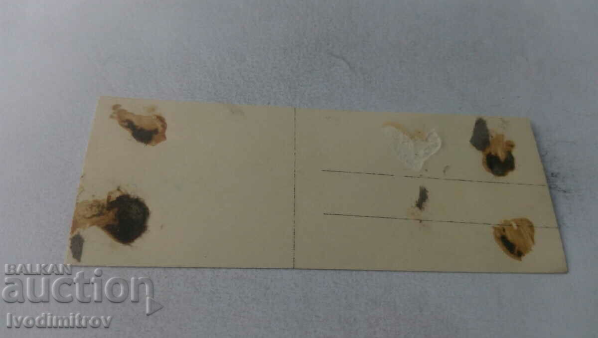 Photo Young people at a port with three barges on the Danube with price 1.35 BGN | € 0.69 Photo Young people at a port with three barges on the Danube with price 1.35 BGN | € 0.69