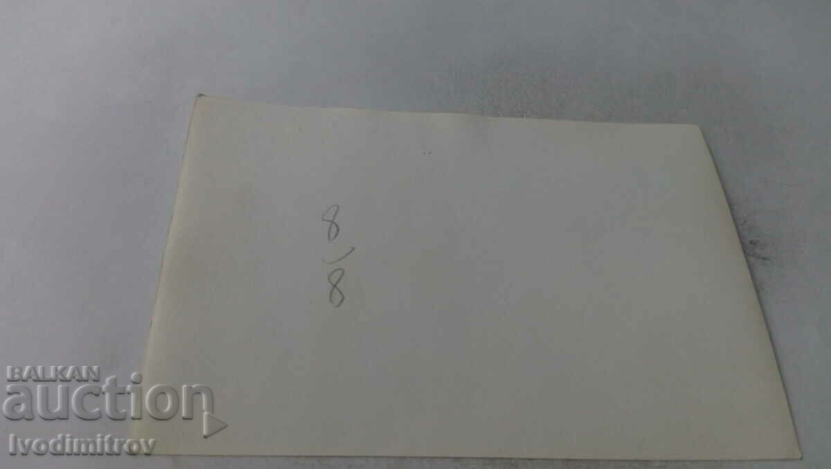 Photo Newlyweds with price € 0.69 | 1.35 BGN