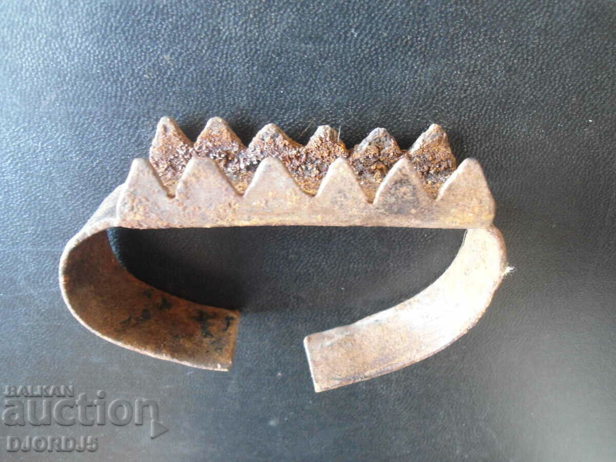 Delivery of An old grain nurse Delivery of An old grain nurse