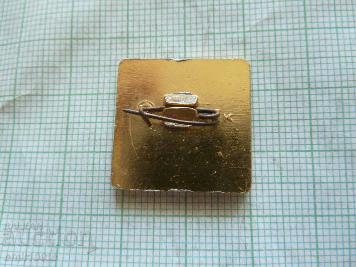 Auction Badge - 50 years of VLKSM All-Union Lenin Komsomol Auction Badge - 50 years of VLKSM All-Union Lenin Komsomol