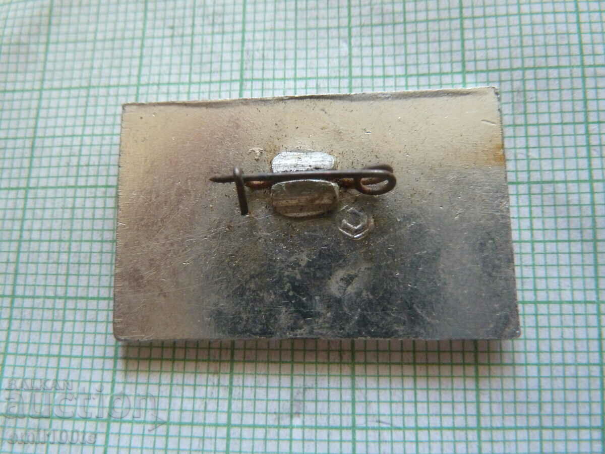 Auction  Badge - 50 years of VLKSM Chelyabinsk region