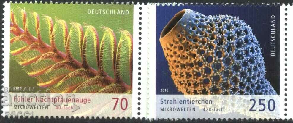 Pure Stamps Microworlds Fauna 2016 από τη Γερμανία