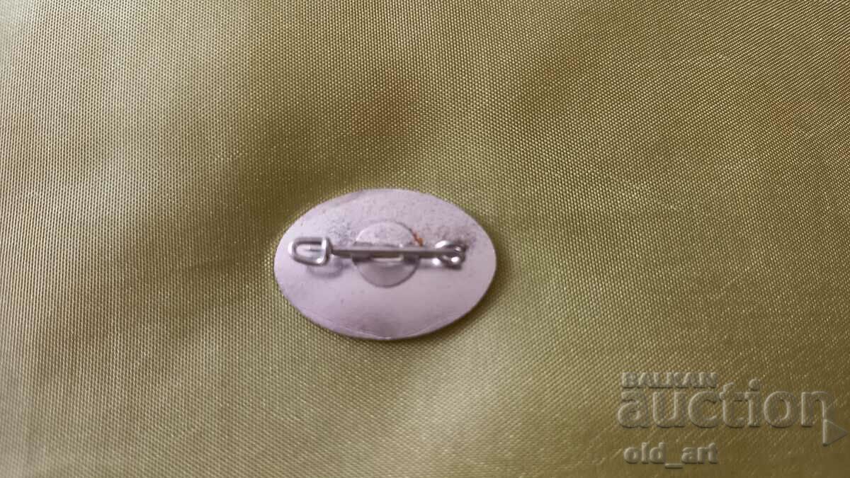 Badge with price 0.80 BGN | € 0.41