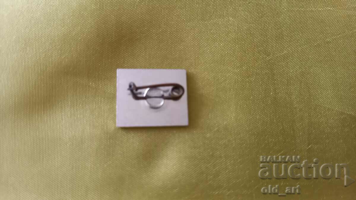 Значка - Крос "Ивайло" с цена € 0.50 | 0.98 лв.