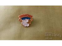 Badge - Uzbekistan