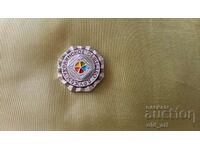 Badge - Ukrainian Friendship Society
