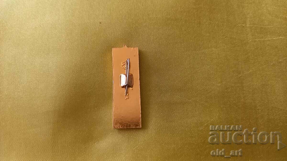 Insigna - Turnul Spasskaya cu preț € 0.30 | 0.59 BGN