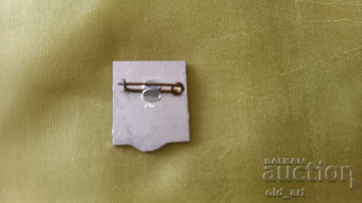 Auction Badges - T. Shevchenko Auction Badges - T. Shevchenko