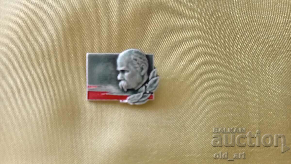 Delivery of Badges - T. Shevchenko Delivery of Badges - T. Shevchenko